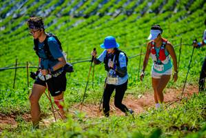 BIB: 2214, 1642
                            <button type="button" onclick="openModal(19163785)" class="btn btn-primary btn-sm float-right btn-popup" data-toggle="modal" data-target=".modal-high-quality">
                        <i class="fas fa-shopping-cart"></i> Add to Cart
                    </button>
                                            <button type="button" onclick="isThisMe(19163785, true)" class="btn btn-success btn-sm float-right btn-popup btn-isme hidden" data-toggle="tooltip" data-placement="bottom" title="นี่คือรูปของคุณใช่ไหม คลิกที่นี่เพื่อเอาเข้าอัลบั้ม">
                        <i class="fas fa-plus"></i> Add to album
                    </button>
                    <button type="button" onclick="isThisMe(19163785, false)" class="btn btn-warning btn-sm float-right btn-popup btn-isnotme hidden">
                        <i class="fas fa-ban"></i> Remove from album
                    </button>